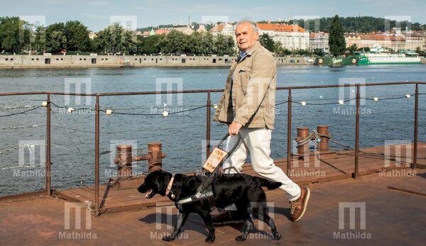 Kalendář NF Mathilda 2022 - Vladimír Smutný s pejskem