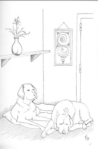 Kniha Já a moje smečka - ilustrace z knihy - dva ležící psi