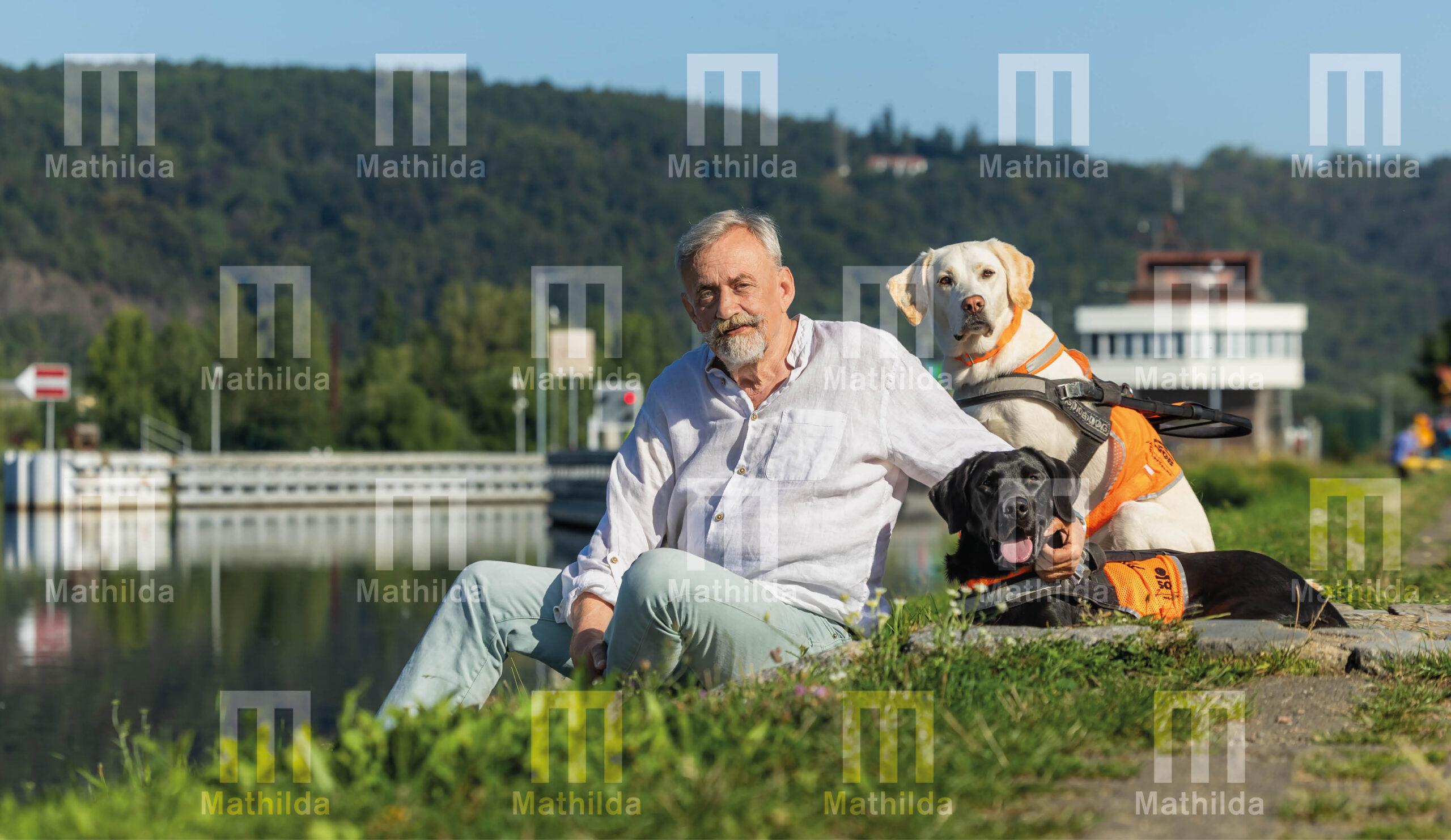 Kalendář 2026 - Image 14