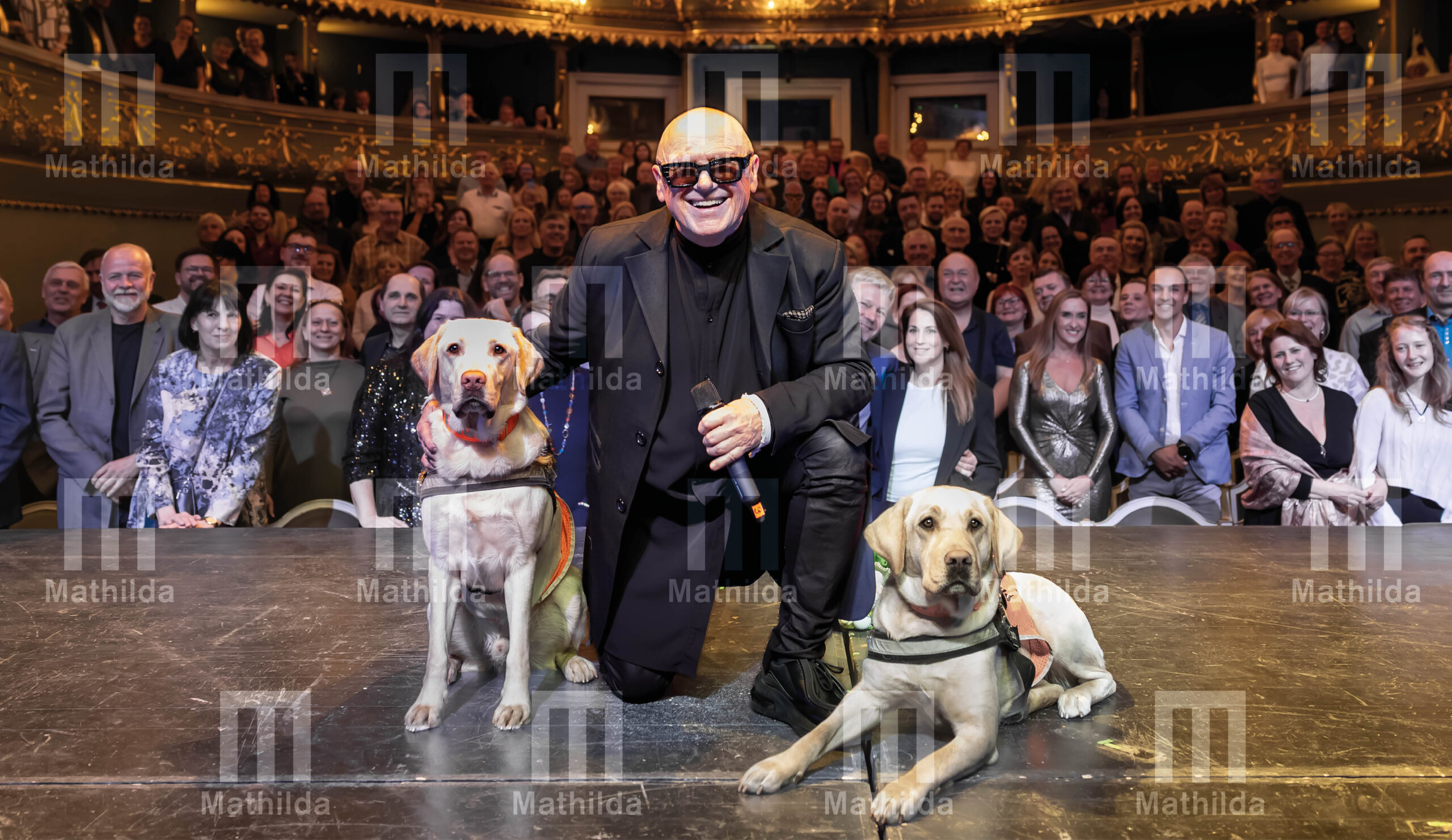 Kalendář 2026 - Image 4