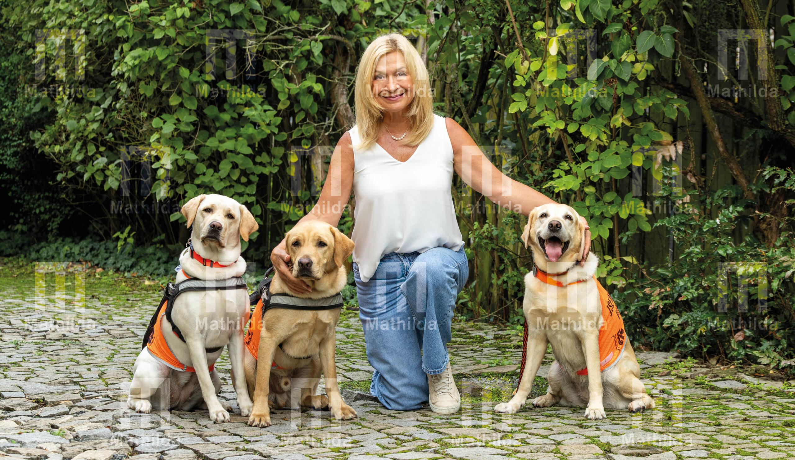 Kalendář 2026 - Image 11