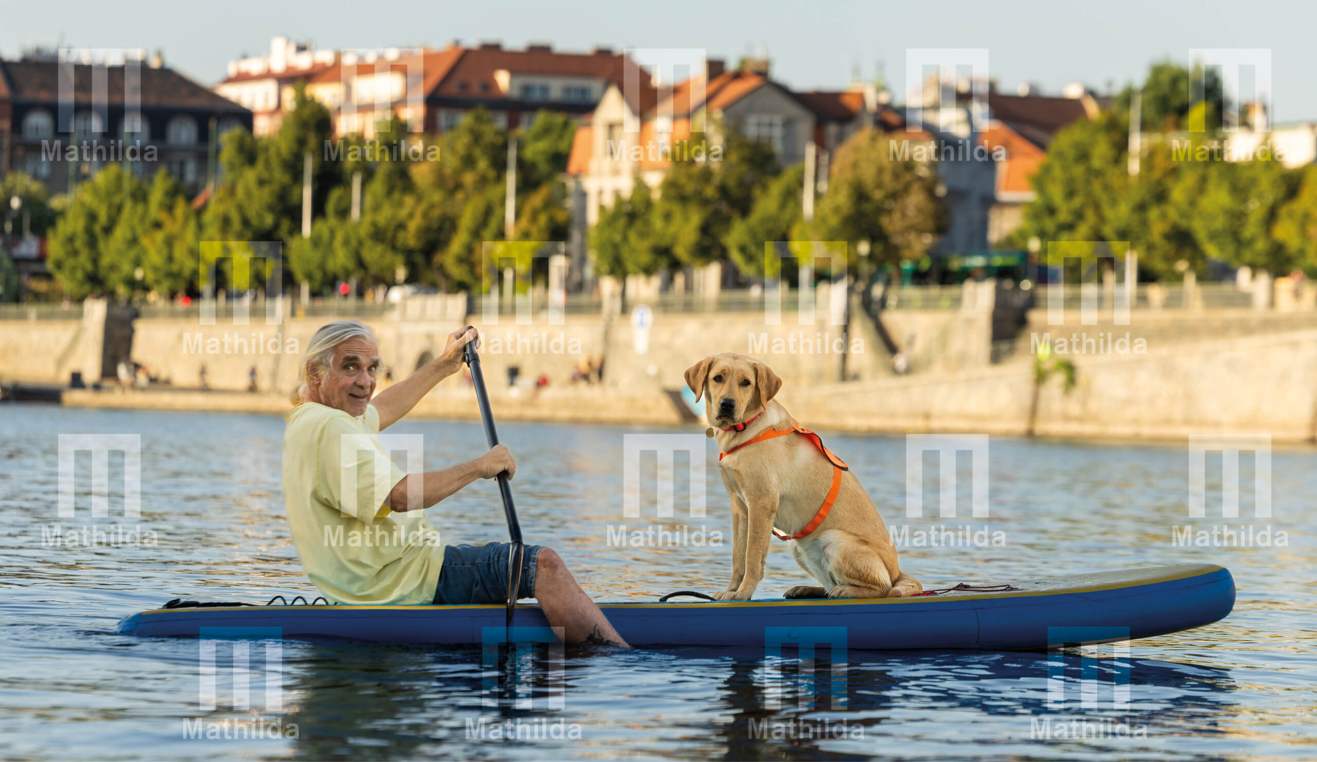 Kalendář 2026 - Image 12