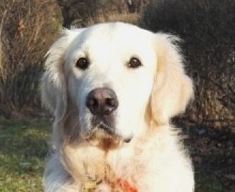Sam